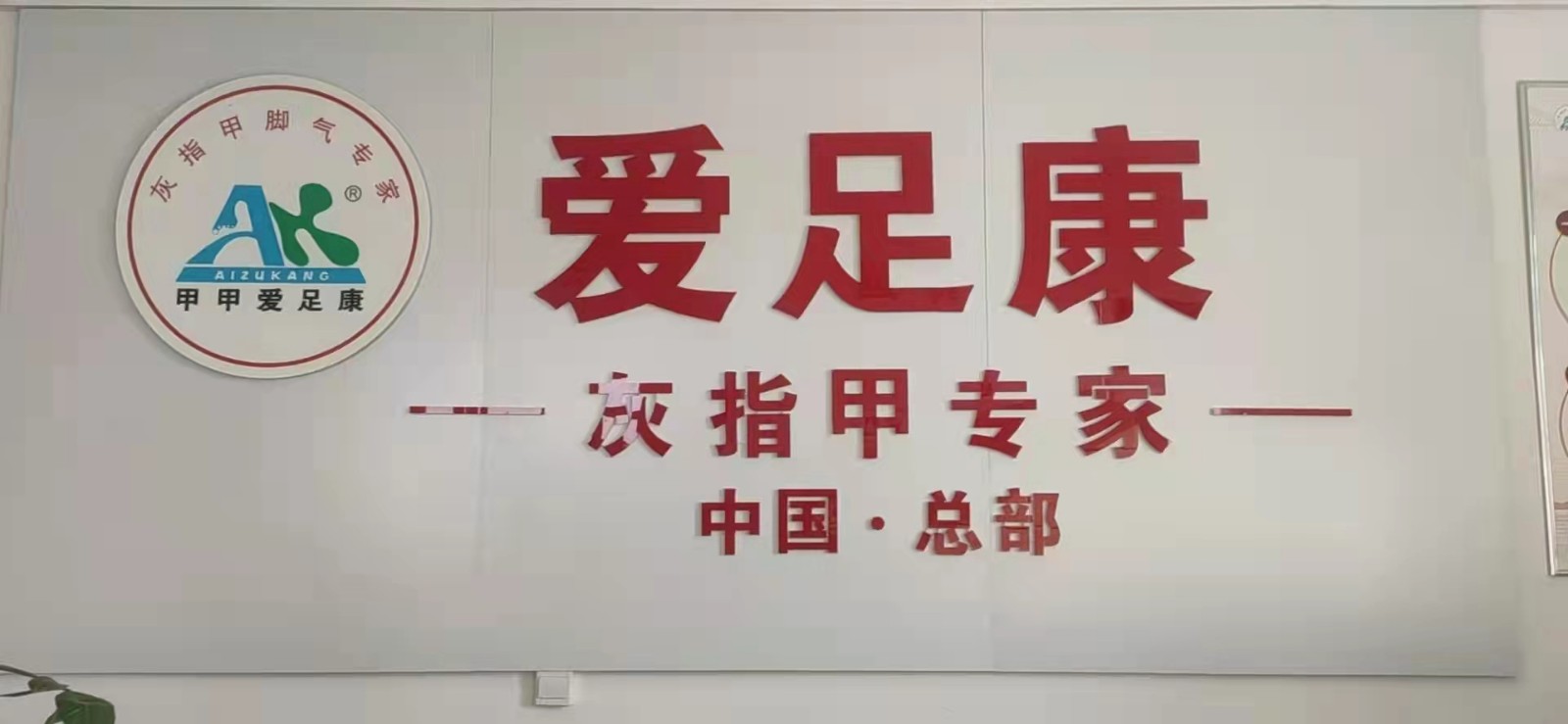 三肖必中特一今期开什么肖